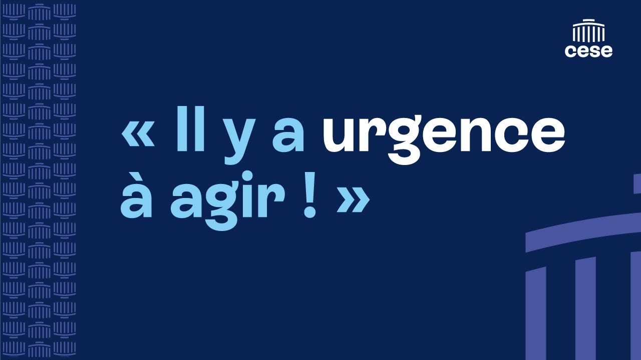image du post 'Renforcer le financement des associations : une urgence démocratique - le CESE a adopté l'avis'